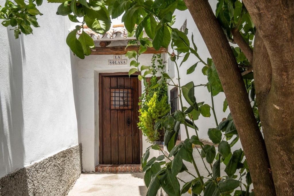 Casa Solana Villa Benadalid Ngoại thất bức ảnh